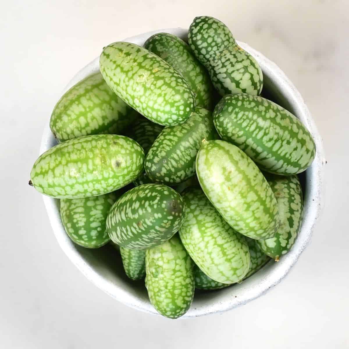 Cucamelon Uses: From Tangy Snacks to Refreshing Cocktail Twists